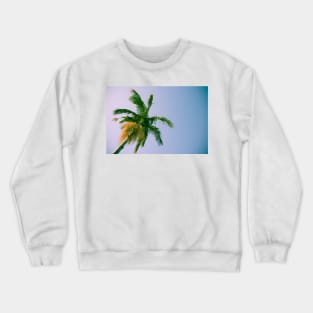 Palm frond detail against sky Crewneck Sweatshirt